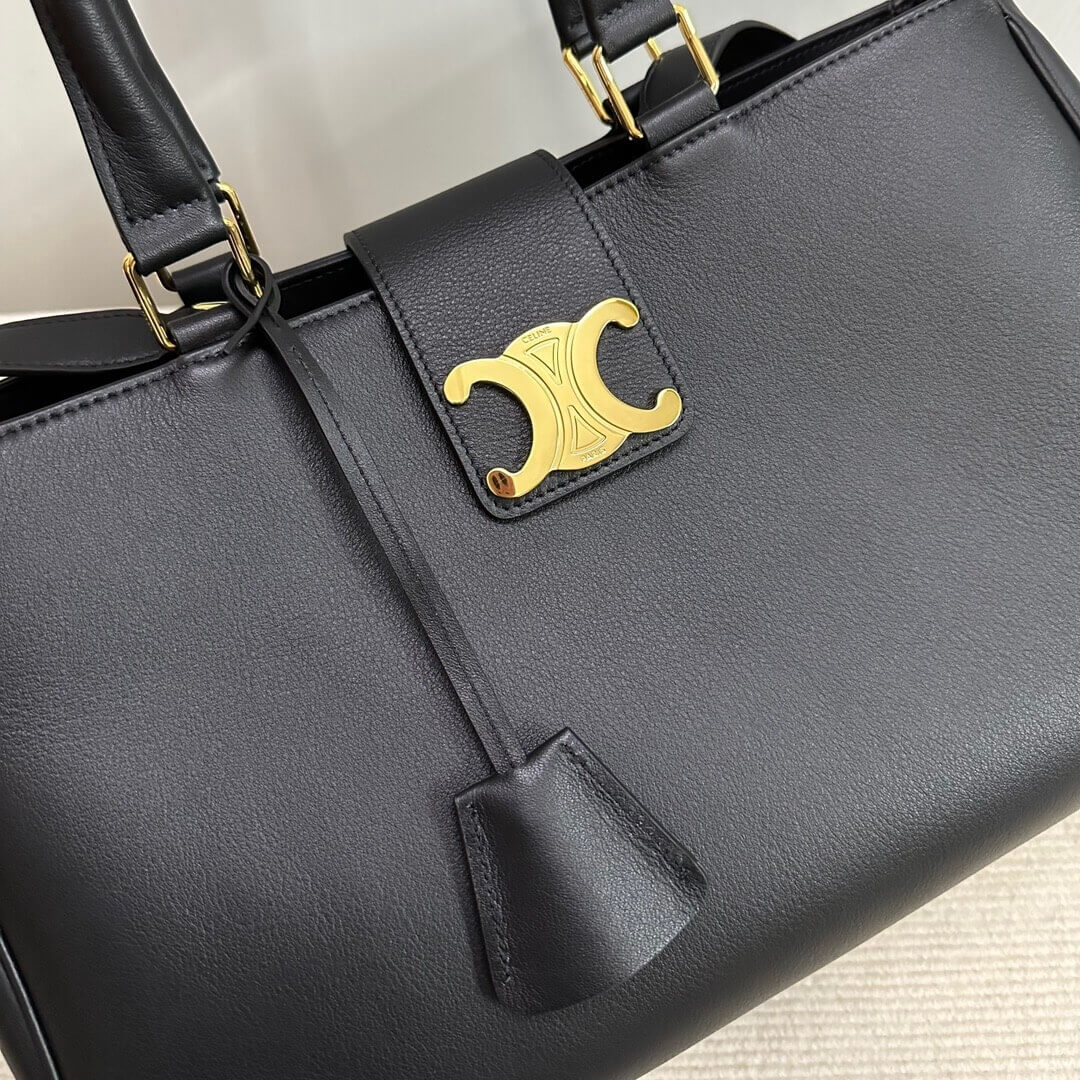 CELINE MEDIUM APPOLINE BAG IN SUPPLE CALFSKIN