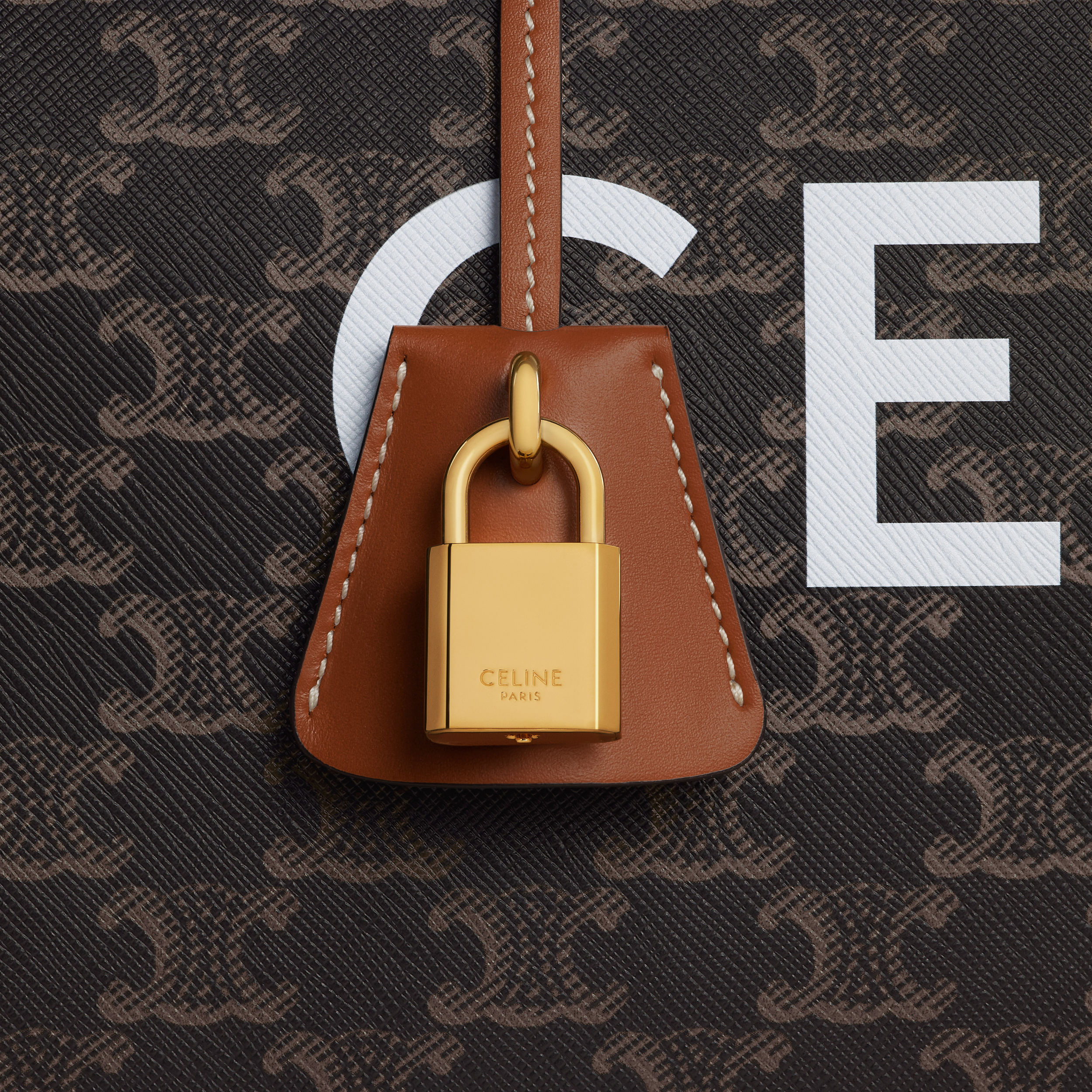 Large Voyage bag in Triomphe Canvas with Print