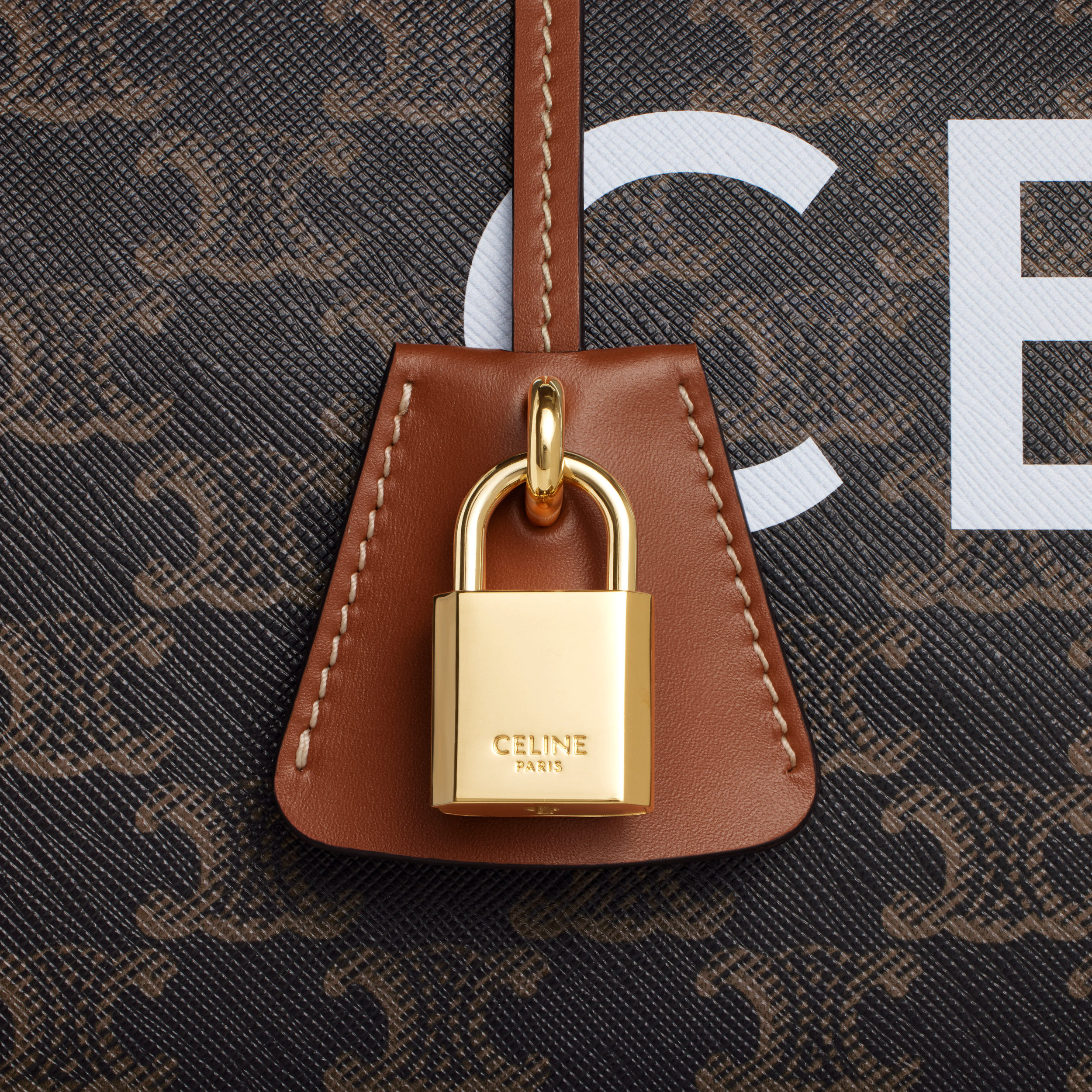 Medium Travel Bag in Triomphe Canvas with Print