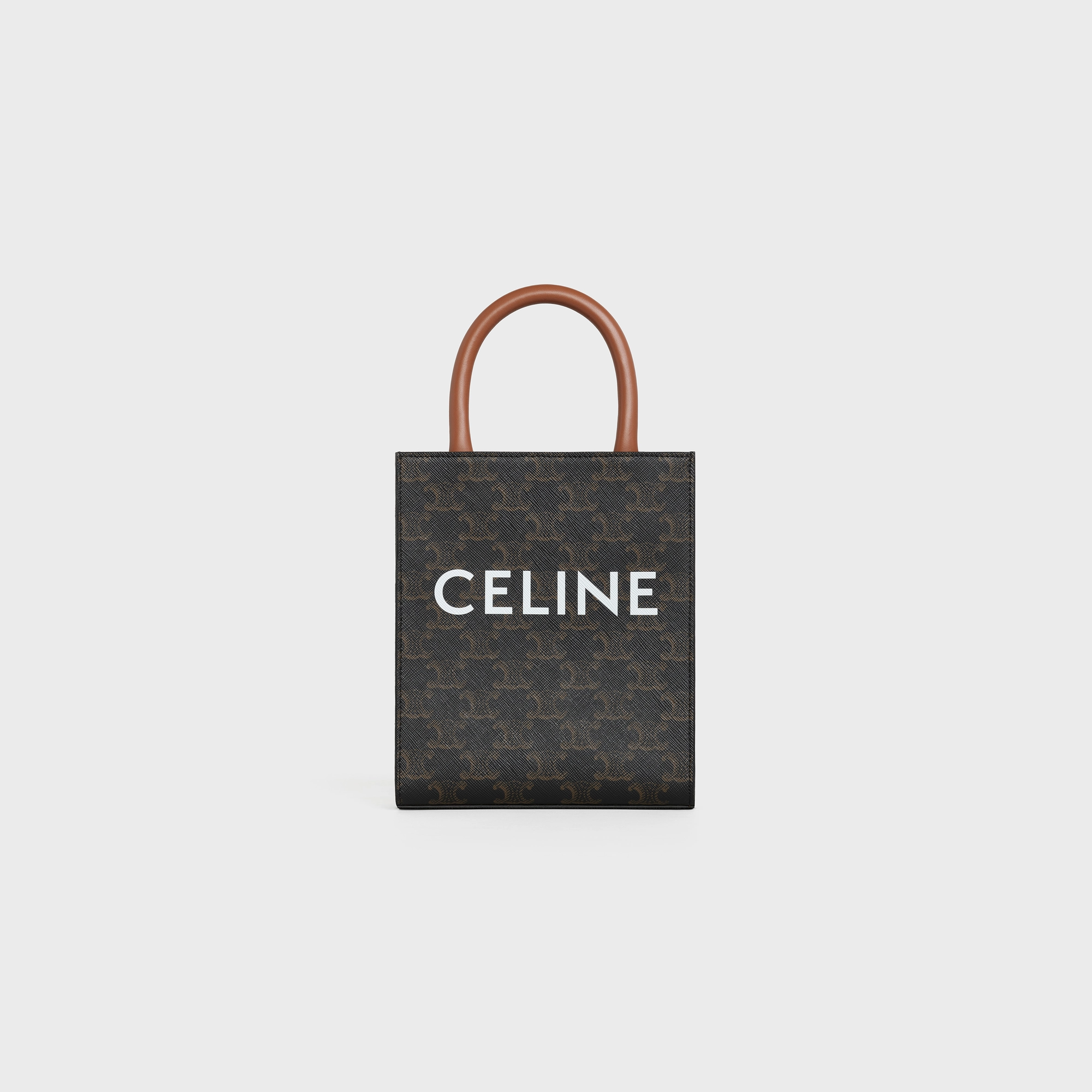 Mini Vertical Cabas in Triomphe Canvas and calfskin with print
