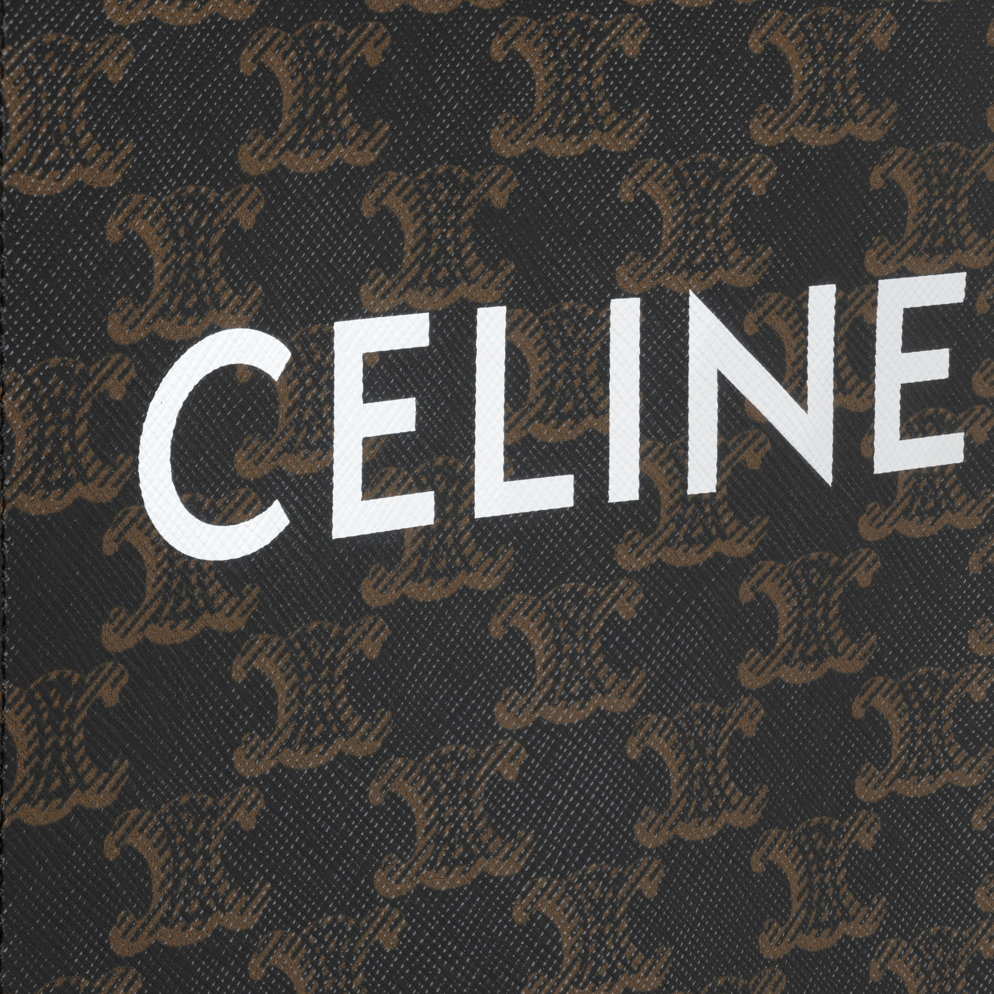 Mini Vertical Cabas in Triomphe Canvas and calfskin with print