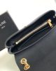 Medium CELINE VICTOIRE bag in soft calfskin