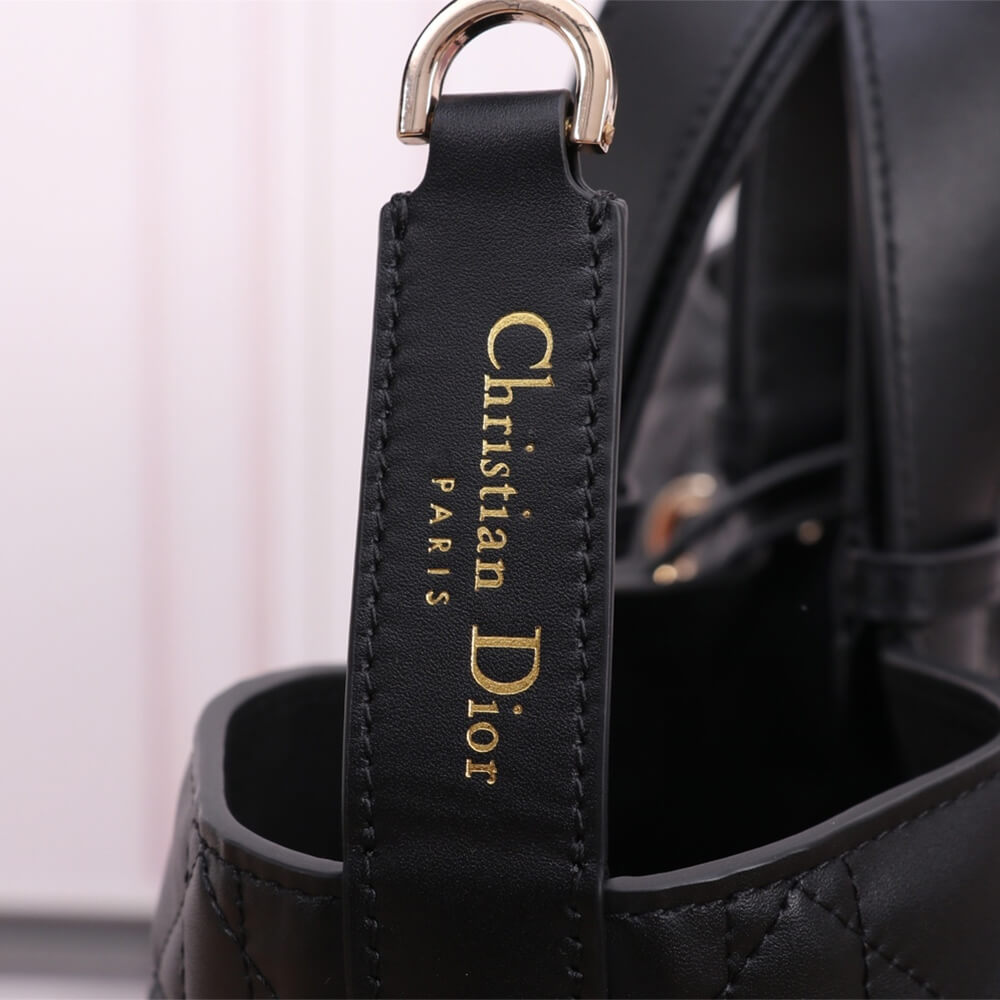 Medium Dior Toujours Bag