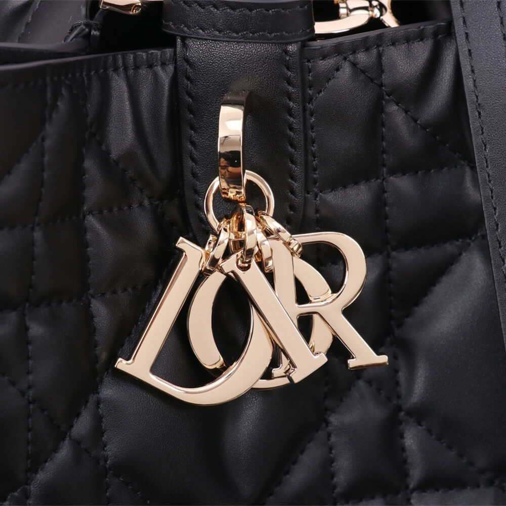 Medium Dior Toujours Bag