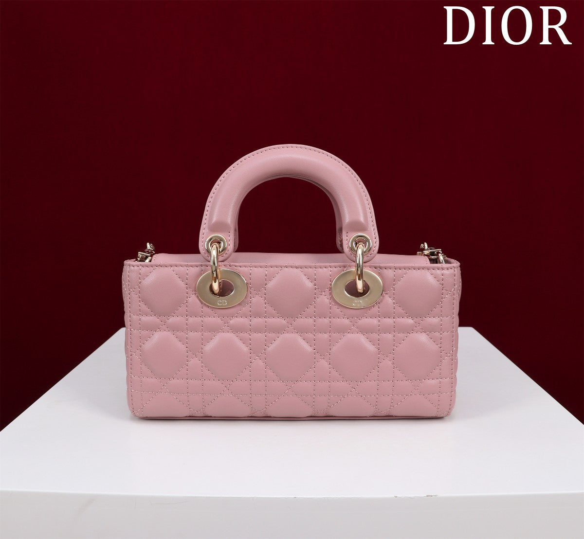 Christian Dior Small Lady D - Joy Bag