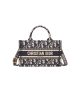 Mini Dior Book Tote