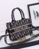 Mini Dior Book Tote