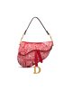 Dior SADDLE BAG