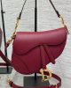 Dior Saddle Bag with Strap