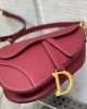 Dior Saddle Bag with Strap