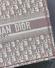 SMALL DIOR BOOK TOTE