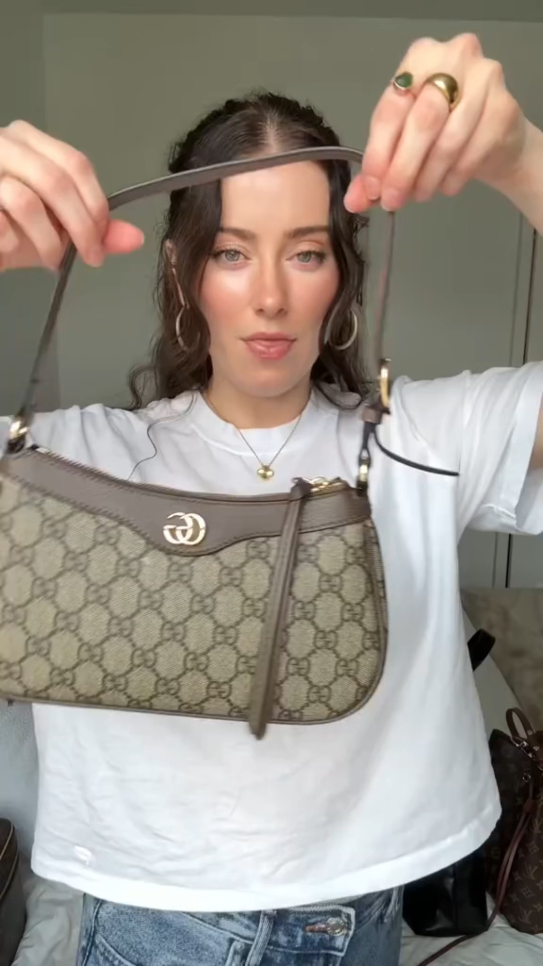 Gucci Ophidia Collection Small Handbag - Beige And Dark Brown Bag