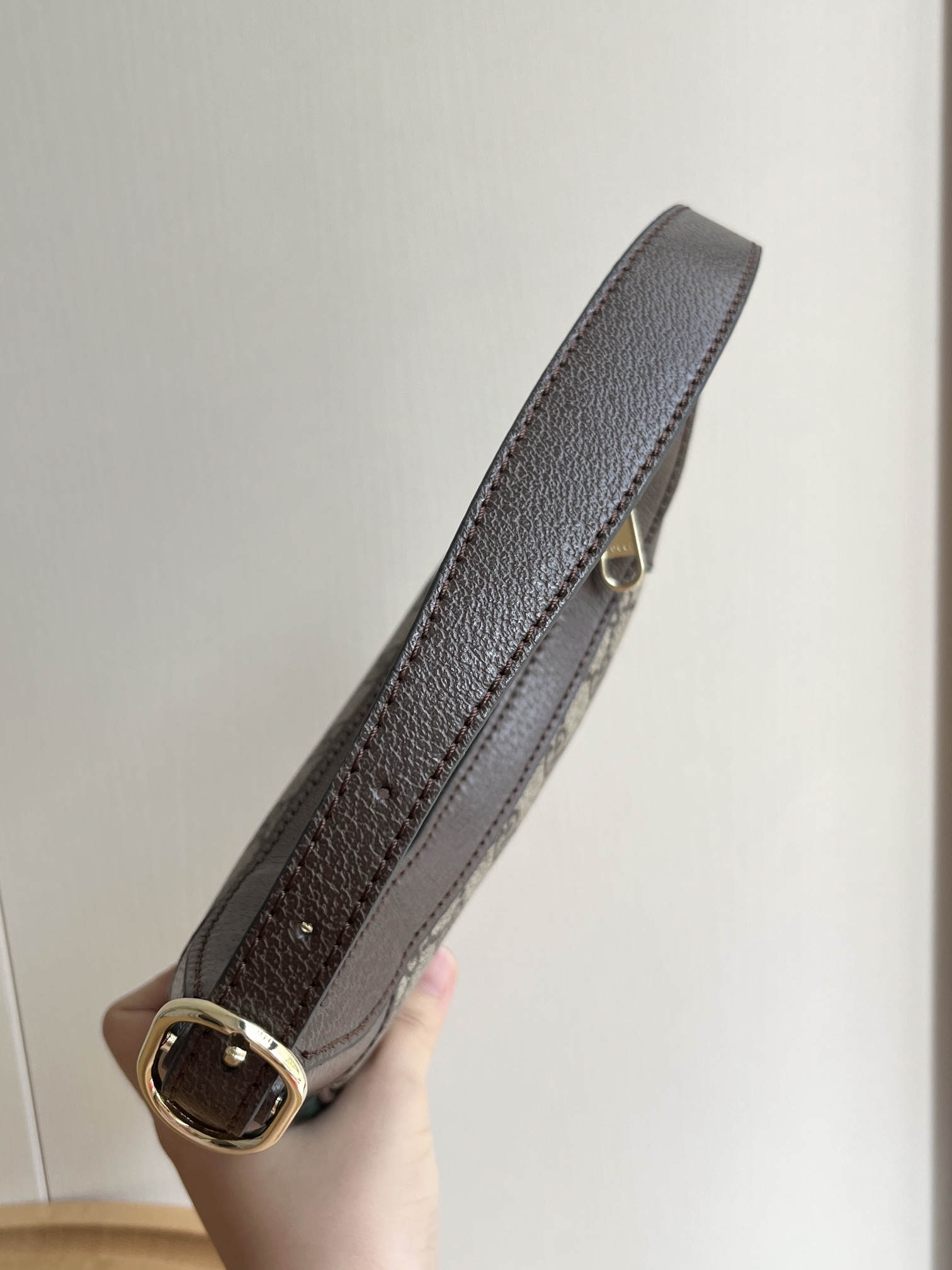 Gucci Ophidia bag