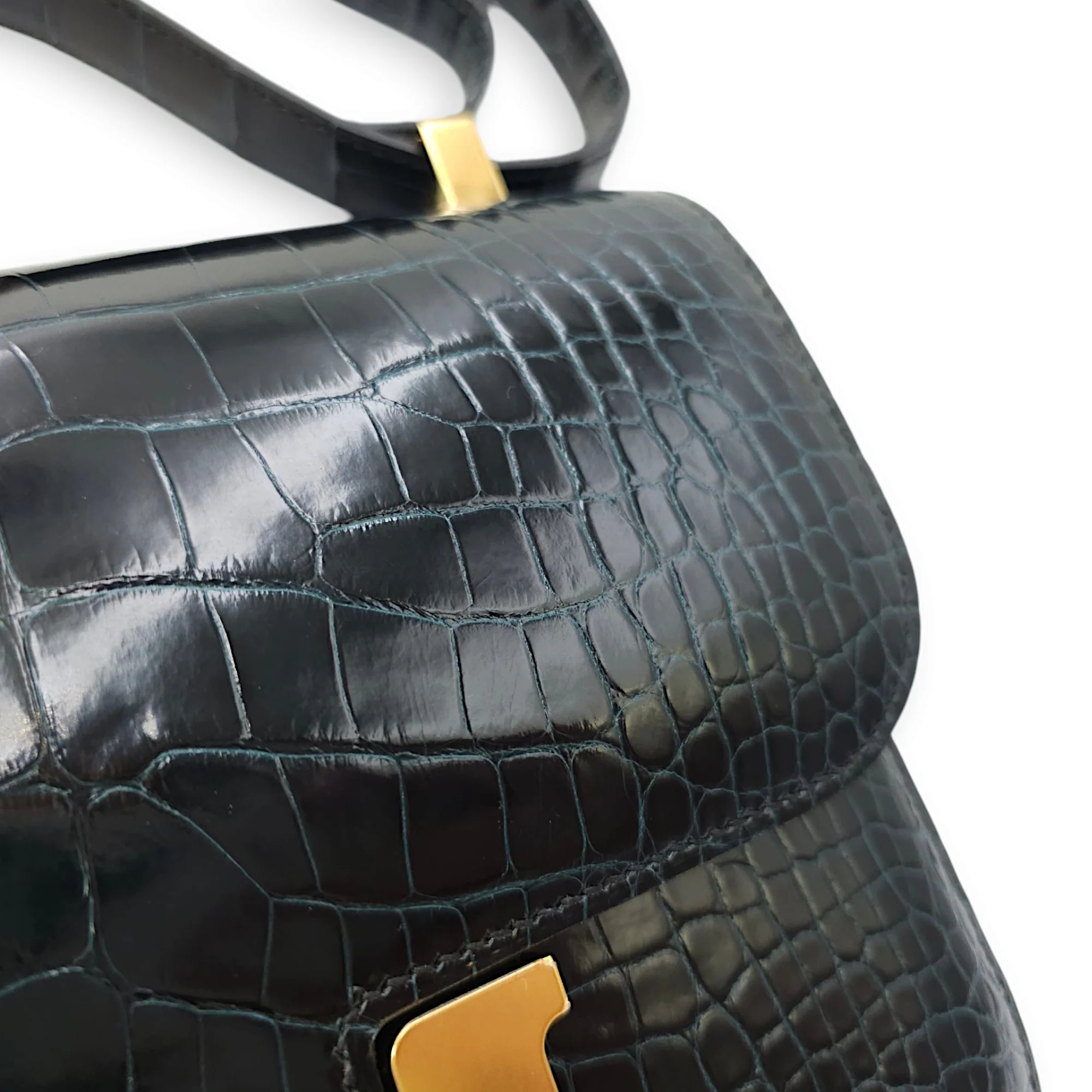 Constance 1 24 Vert Rousseau in Shiny Alligator, Gold hardware