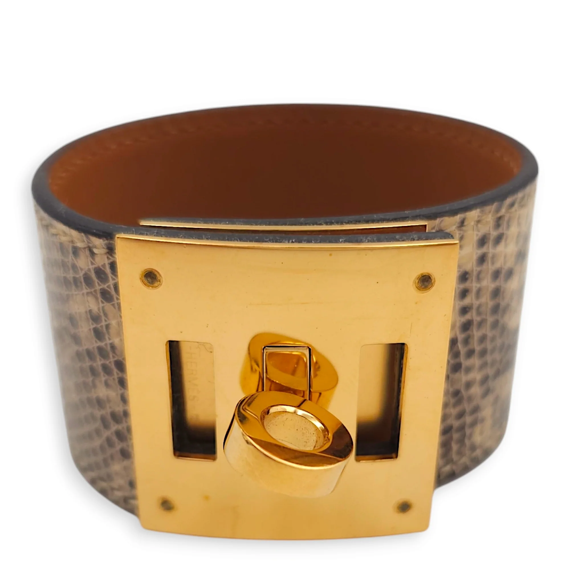 Kelly Dog T2 Ombre Bracelet in Lizard Varanus Niloticus, Gold hardware