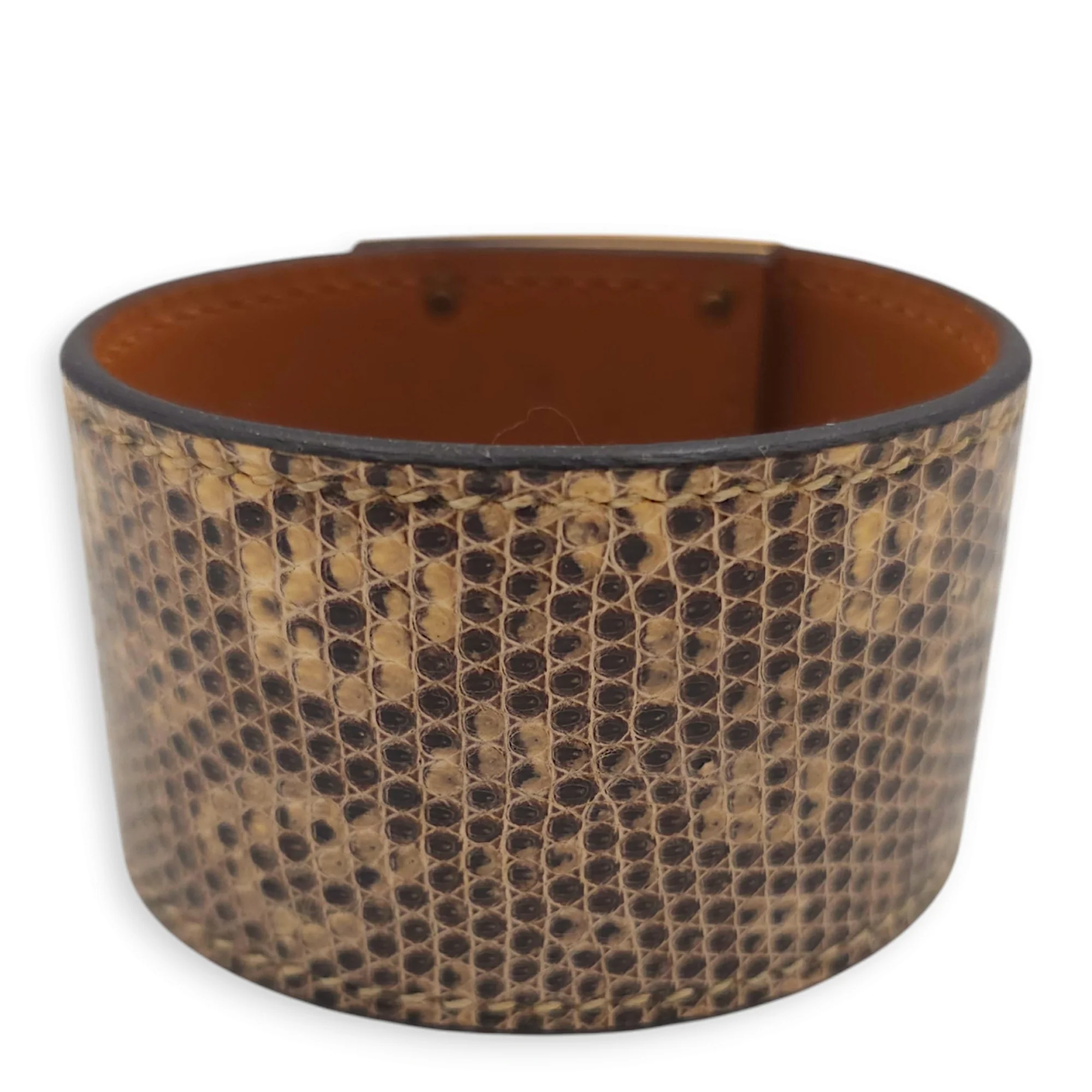 Kelly Dog T2 Ombre Bracelet in Lizard Varanus Niloticus, Gold hardware