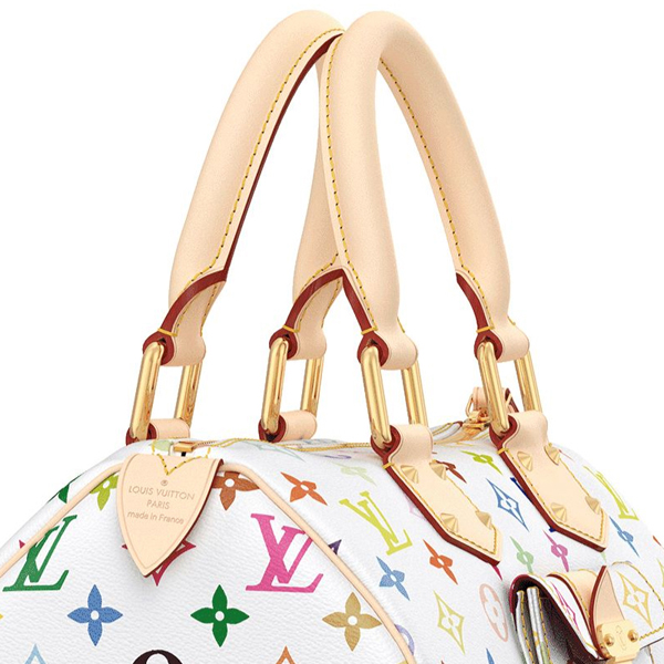 Monogram Multicolore Speedy 30