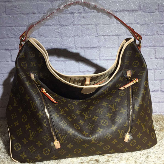 M40354 Delightful GM Hobo Bag Monogram Canvas
