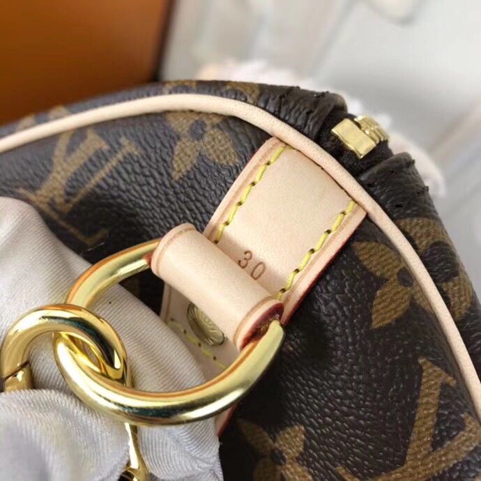 Speedy 30 Bandouliere Monogram Canvas M43989