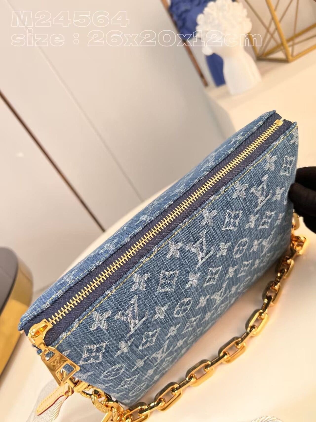 Louis Vuitton M24564 NEW Coussin PM