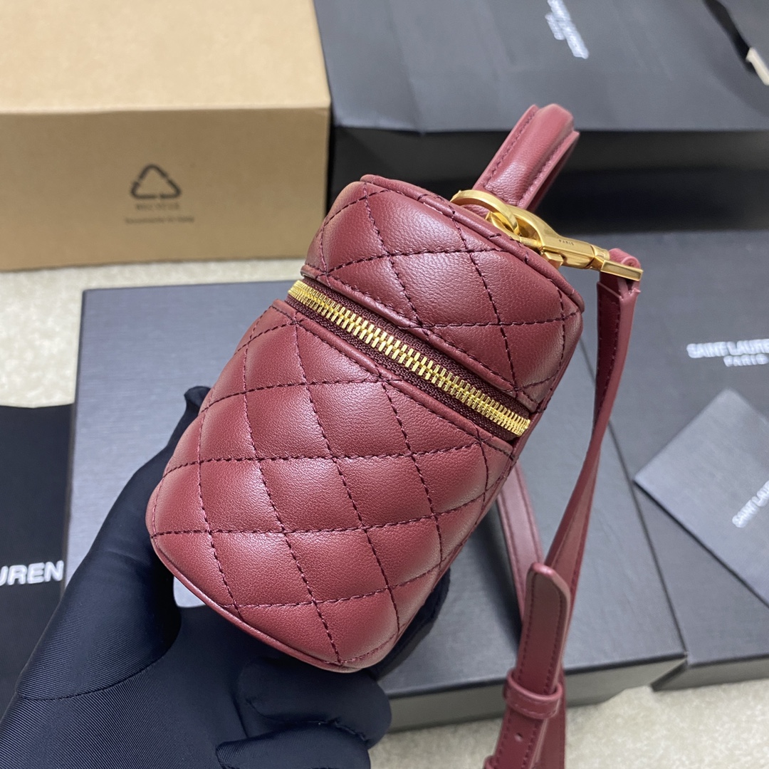 SAINT LAURENT YSL Gaby Vanity Medium Bag