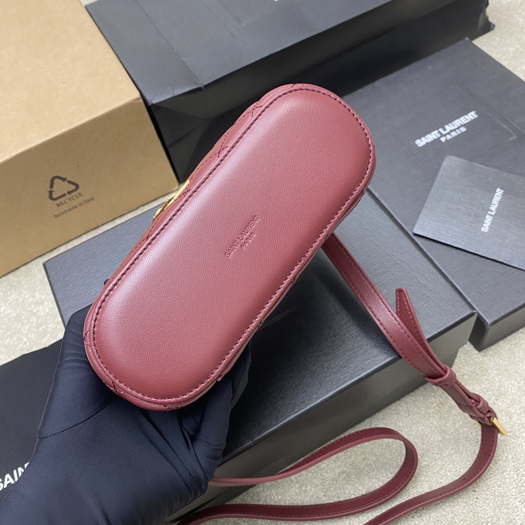 SAINT LAURENT YSL Gaby Vanity Medium Bag