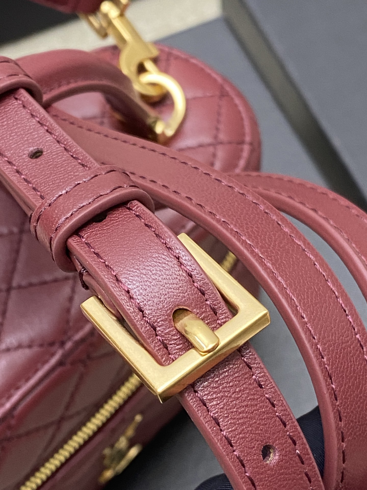 SAINT LAURENT YSL Gaby Vanity Medium Bag