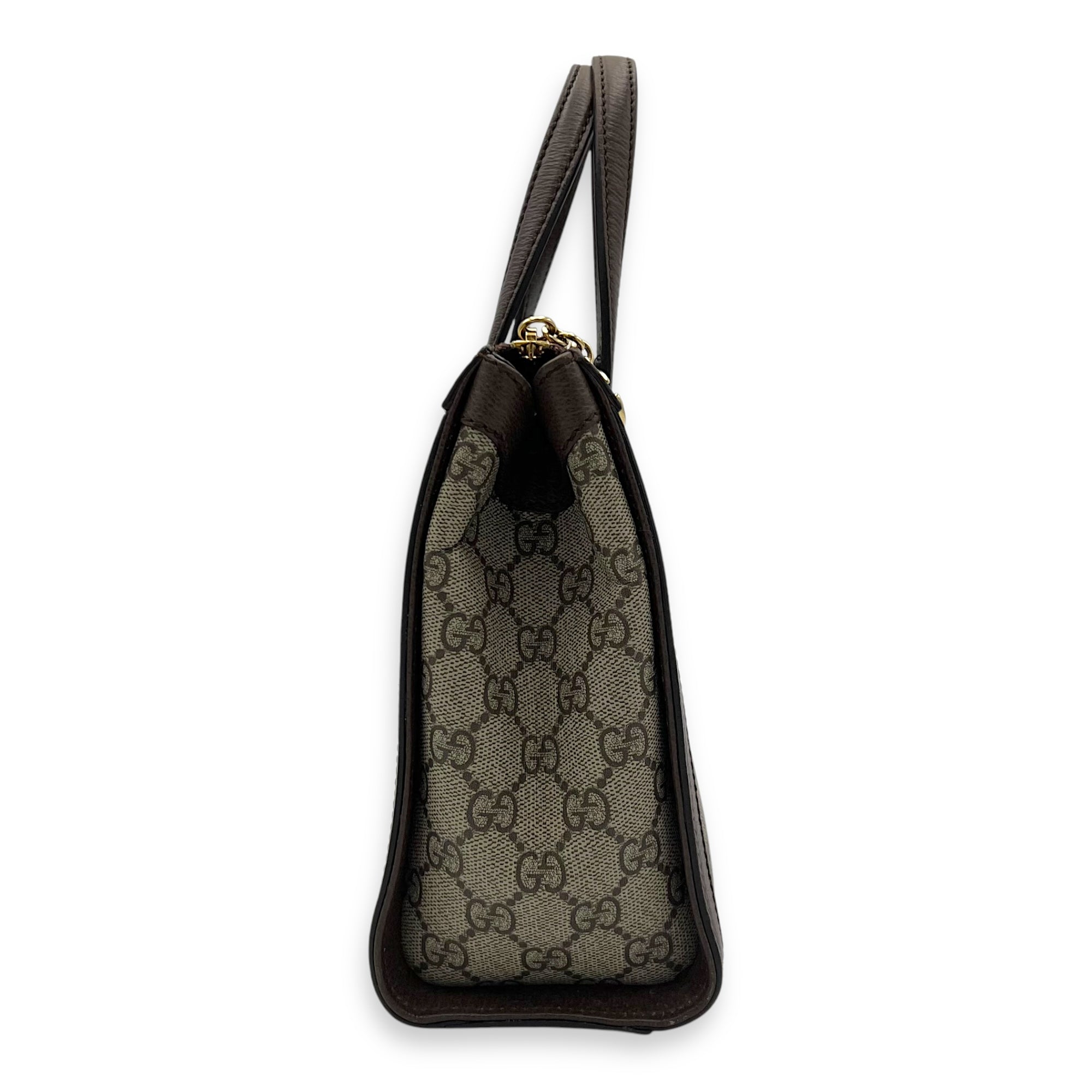 Ophidia Top Handle Bag Brown in Coated Canvas, Silver hardware