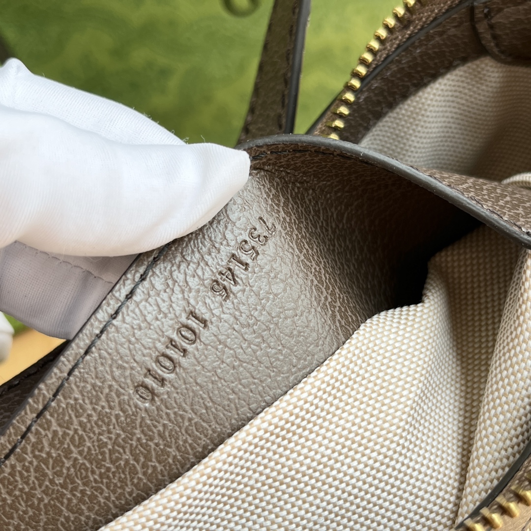 Gucci Ophidia Collection Small Handbag - Beige And Dark Brown Bag